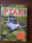 Dariusz Graszka-Petrykowski  - Ptaki 