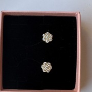 Kolczyki Moissanite 0.06ct D VVS1 Kwiat, Certyfikat GRA, Błysk Diamentu