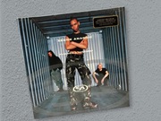 Skunk Anansie - Paranoid & Sunburnt|LIMITED|WINYL