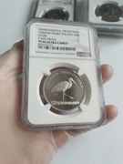 PF66 Nikiel Próba BOCIAN 1982 Ultra Cameo NGC