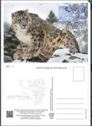 Kirgistan ** 2014r, Maxi karta - Pantera śnieżna