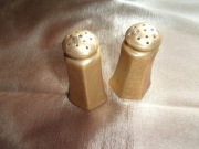 ZŁOTE  PRZYPRAWNIKI