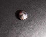 Koronka Tag Heuer 6,2 x 3,9mm