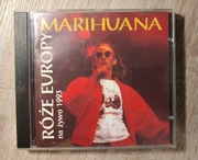 Róże Europy Marihuana