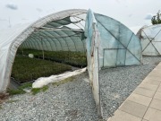 Stalowa konstrukcja tunelu foliowego