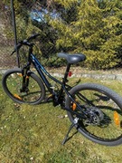 Rower Giant Enchant 24 Disc Black