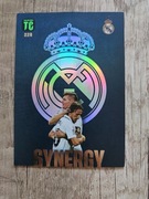 Karta top&class SYNERGY 228