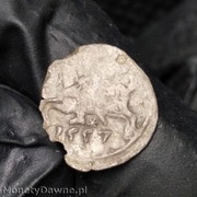 denar 1557, Wilno Zygmunt II August 