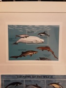 Gambia 1996 Mi 274/275    2 x ark   delfiny  czysta idealna pozycja 