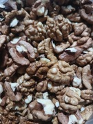 ORZECHY WŁOSKIE łuskane EKO, 2025