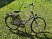 Rower damski Gazelle Classic
