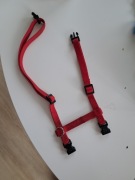 Szelki dla królika na spacer