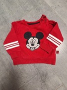 Bluza niemowlęca Disney baby rozm. 74 cm