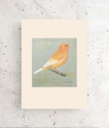 retro plakat A4, ptaszek plakat 21x30, kanarek plakat a4