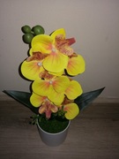 Piękny sztuczny żółty storczyk