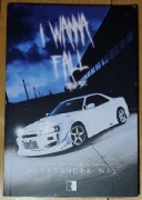 "I WANNA FALL. BRIGHT SIDE" - ALEKSANDRA NIL