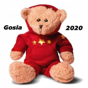 Miś TVN 2020 GOSIA Podaruj Misia 15 edycja w folii Rossmann Małgorzata