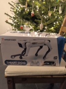 Inteligenty pies (smartdog)