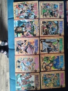 Fairy Tail Manga od 1 do 10 po polsku