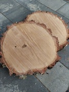 Duże Krążki brzozowe plastry drewna brzozy