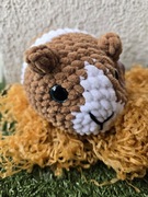 Swinka morska maskotka