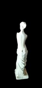 Venus z Milo Gips (7)