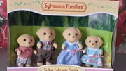 Zestaw Sylvanian Families
