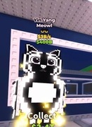 STEAL A BRAINROT VERY RARE BRAINROTS