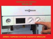 Regeneracja płyt Viessmann Vitopend Vitodens