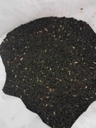 ZIARNA SŁONECZNIKA dla ptaszków 25 KG