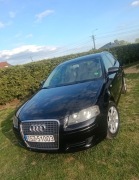 Audi A3 8P 1.9tdi