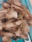 Pióra bażanta okrywowe mix