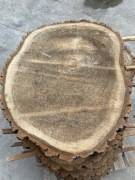 Krążki/plastry drewniane z topoli