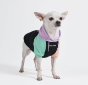 Spark Paws Bluza z kapturem dla psów 2XL rozmiar 