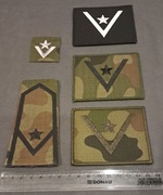 Stopnie wojskowe MŁODSZY CHORĄŻY / MON