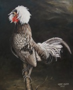 Obraz na płótnie Koguta rasy Czubatka