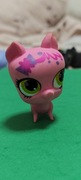 Littlest pet shop  świnia   #3056