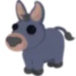 Donkey Adopt Me AM