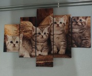 Obraz tryptyk 5 częściowy 