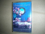 Sentimental journey-by pianist D.Barthiaume.  kaseta