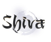 SHIVA INTERNATIONAL YANG 1KKK 