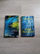 Dziesiąte wtajemniczenie James Redfield i  Niebiańska przepowiednia