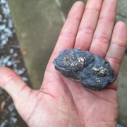 Piryt konkrecja pirytowa z Gór Kaczawskich