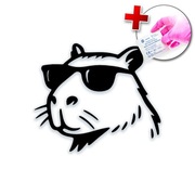 NAKLEJKA NA SAMOCHÓD AUTO LAPTOP - KAPIBARA W OKULARACH