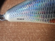 Salmo Poland Fatso 10