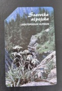 Karta telefoniczna - szarotką alpejska