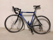 Rower szosowy Bulls 600 Ultegra