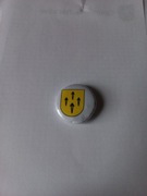 Herb Rajgród przypinka pin odznaka wpinka button
