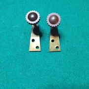 Pionizery skrzyni zegara wiszącego