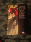 spider-Man sprawy rodzinne 